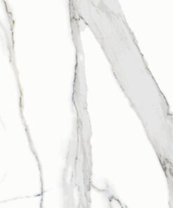 Statuario Fantasia 24” x 48”