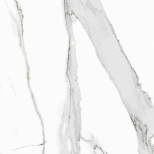 Statuario Fantasia 24” x 48”