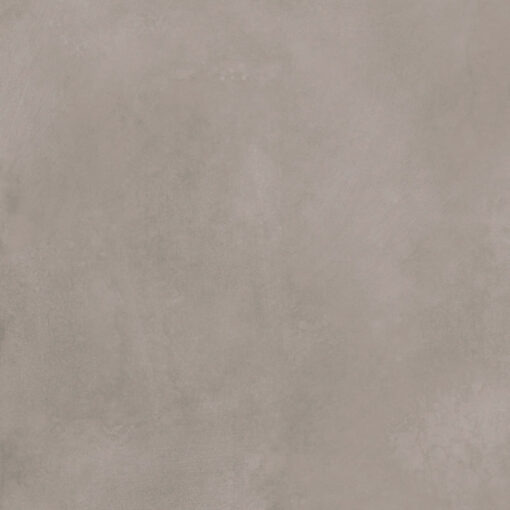 Jupiter Gray Matte 24” x 48”